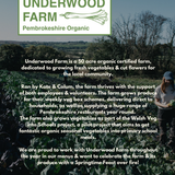 Feast on the Farm (Spring Edition) - Saturday 16th May 2026